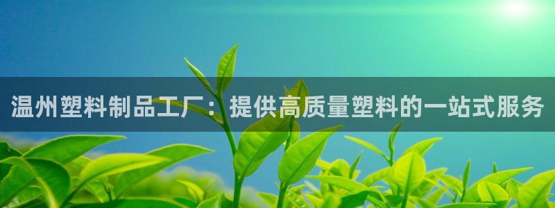 太阳appvip：温州塑料制品工厂：提供高质量塑料的一站式服