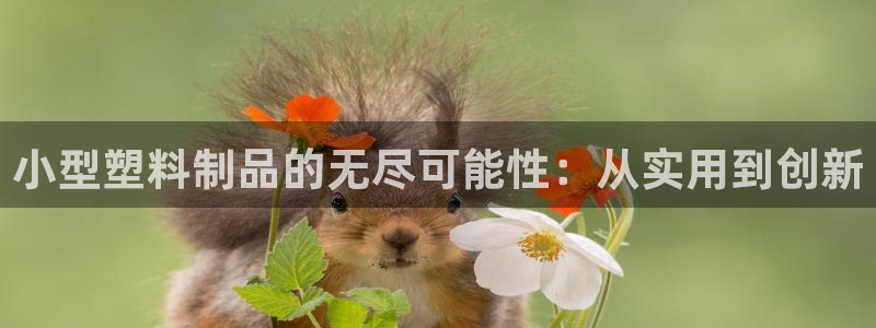 太阳集团网站入口官网网址：小型塑料制品的无尽可能性：从实用到