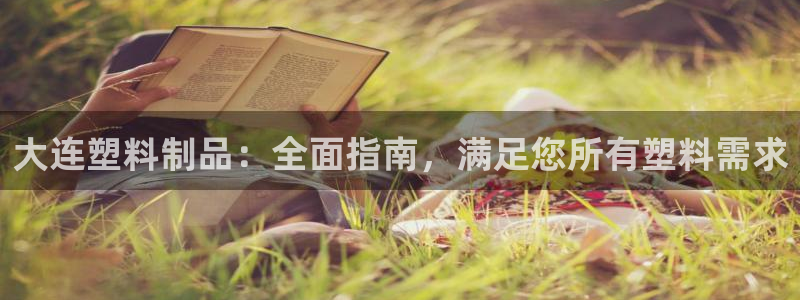 太阳诚集团有限公司有多少人：大连塑料制品：全面指南，满足您所