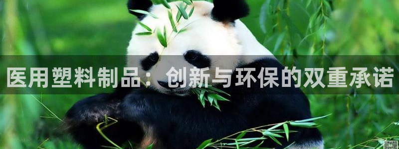 太阳游戏视频：医用塑料制品：创新与环保的双重承诺