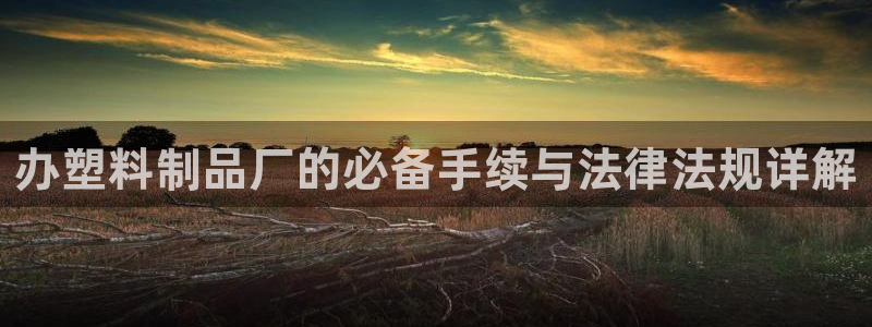 太阳集团游戏城旧版：办塑料制品厂的必备手续与法律法规详解