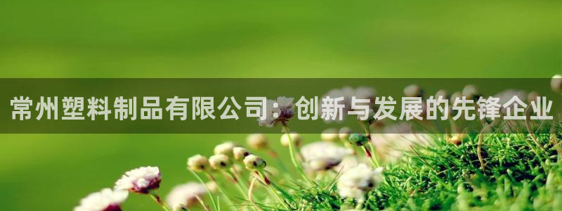 太阳集团董事长是谁照片：常州塑料制品有限公司：创新与发展的先