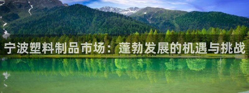 太阳成集团tyc3345：宁波塑料制品市场：蓬勃发展的机遇与