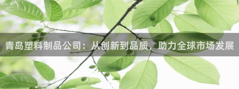 太阳集团城网址娱网：青岛塑料制品公司：从创新到品质，助力全球