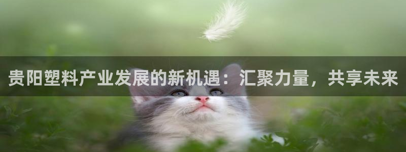 太阳集团游戏城1382：贵阳塑料产业发展的新机遇：汇聚力量，