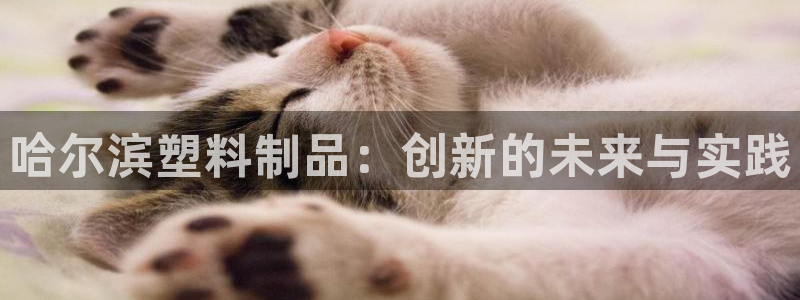 古天乐和太阳集团什么关系知乎：哈尔滨塑料制品：创新的未来与实