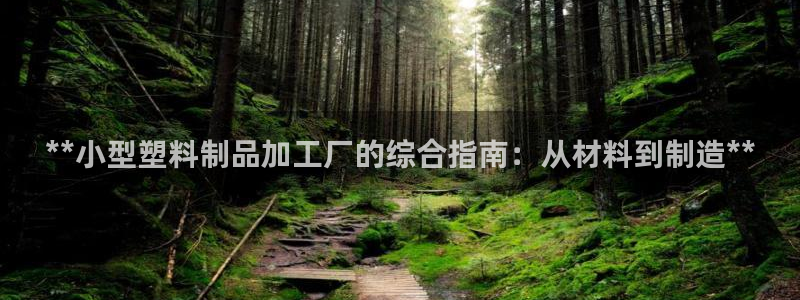 太阳集团网址首页：**小型塑料制品加工厂的综合指南：从材料到