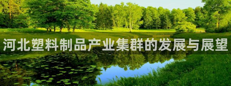 太阳成集团tyc234cc—首页欢迎您：河北塑料制品产业集群