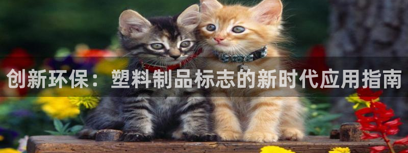 太阳集团城2018网站：创新环保：塑料制品标志的新时代应用指