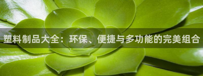 太阳集团1383：塑料制品大全：环保、便捷与多功能的完美组合