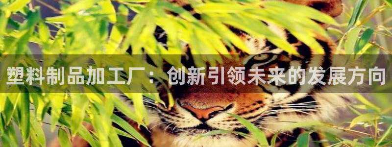 太阳成集团控股：塑料制品加工厂：创新引领未来的发展方向