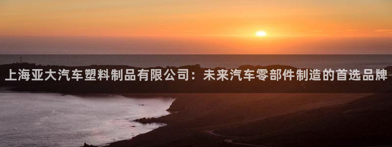 太阳集团董事长是谁：上海亚大汽车塑料制品有限公司：未来汽车零