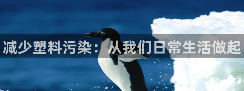 太阳成集团tyc234cc福利：减少塑料污染：从我们日常生活