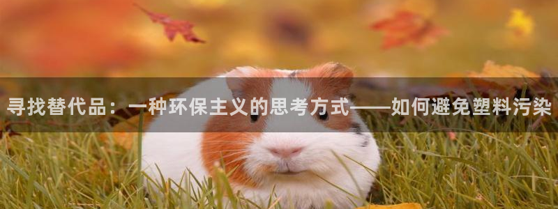 太阳成集团tyc234cc[主页]网：寻找替代品：一种环保主