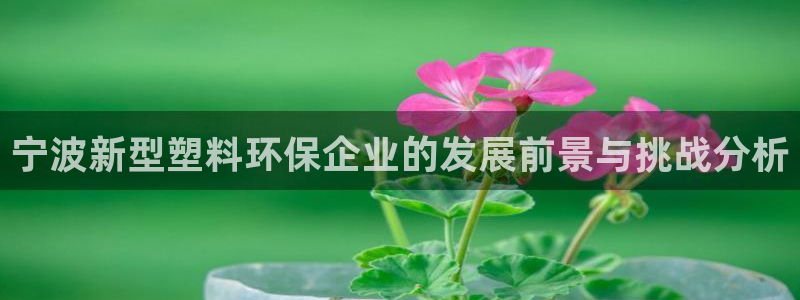 太阳集团网站入口官网下载：宁波新型塑料环保企业的发展前景与挑