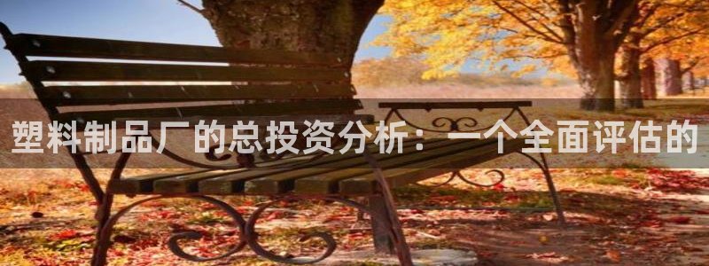 太阳诚集团APP在线观看：塑料制品厂的总投资分析：一个全面评