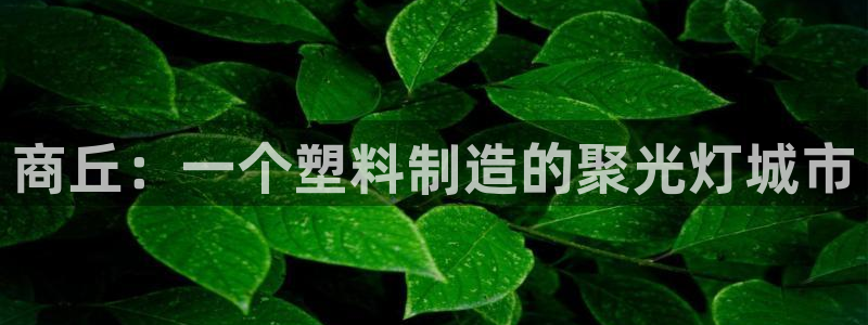 冷太阳演员表：商丘：一个塑料制造的聚光灯城市