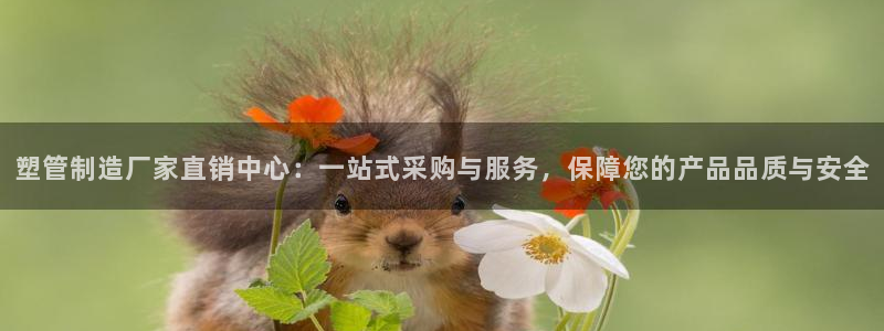 太阳阳城集团：塑管制造厂家直销中心：一站式采购与服务，保障您
