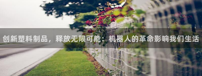 太阳成集团61999：创新塑料制品，释放无限可能：机器人的革