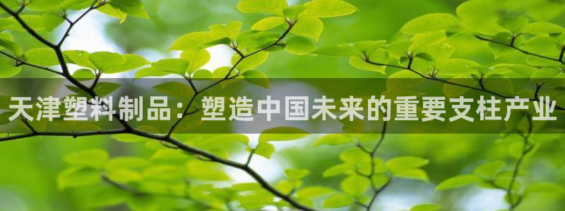 太阳集团2018登录网址查询：天津塑料制品：塑造中国未来的重