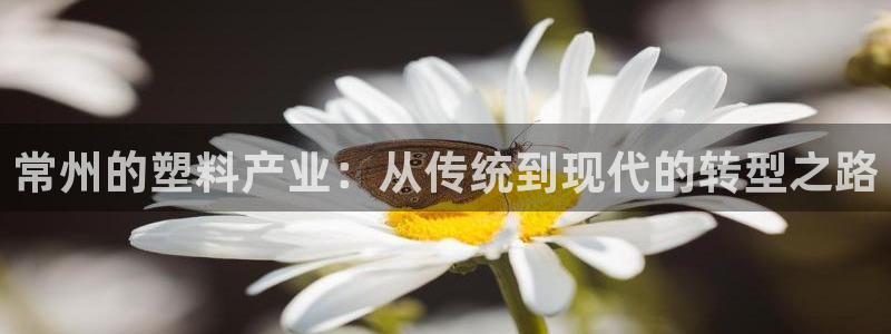 太阳集团股份有限公司官网：常州的塑料产业：从传统到现代的转型