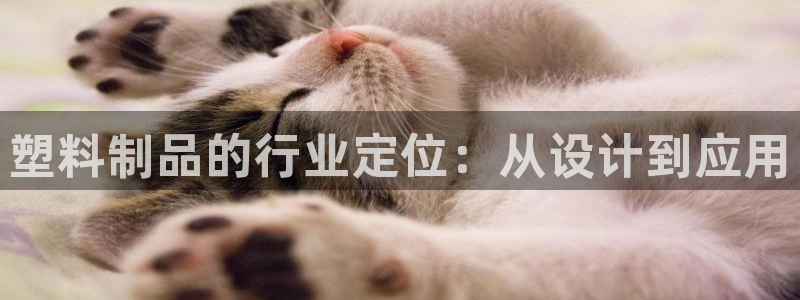 太阳集团电子游戏(中国)有限公司官网：塑料制品的行业定位：从