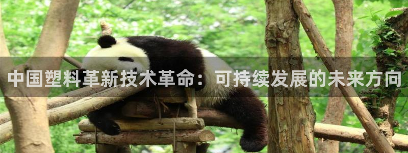 太阳成集团tyc234cc振兴：中国塑料革新技术革命：可持续