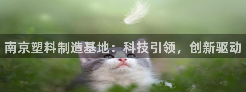 太阳gg登陆测试：南京塑料制造基地：科技引领，创新驱动