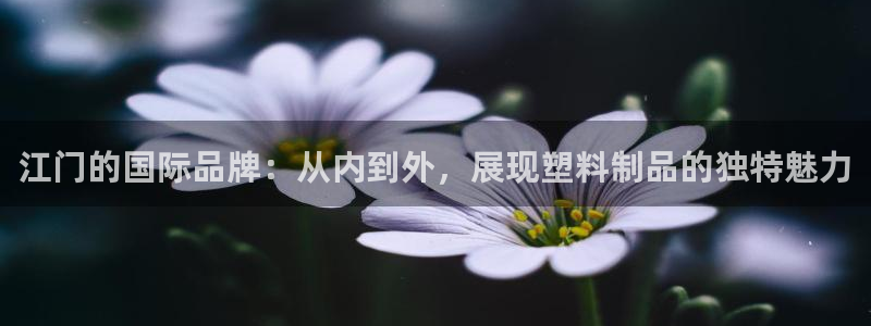 太阳成集团tyc234cc[主页]：江门的国际品牌：从内到外