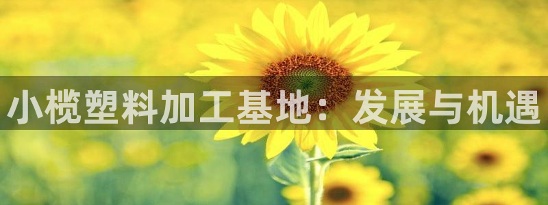 太阳app官网下载入口：小榄塑料加工基地：发展与机遇