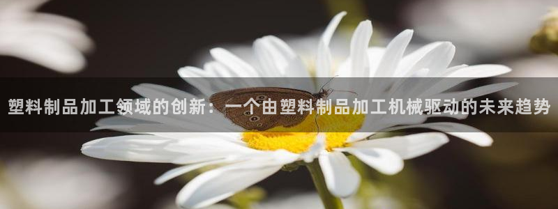 太阳集团电子游戏大全：塑料制品加工领域的创新：一个由塑料制品
