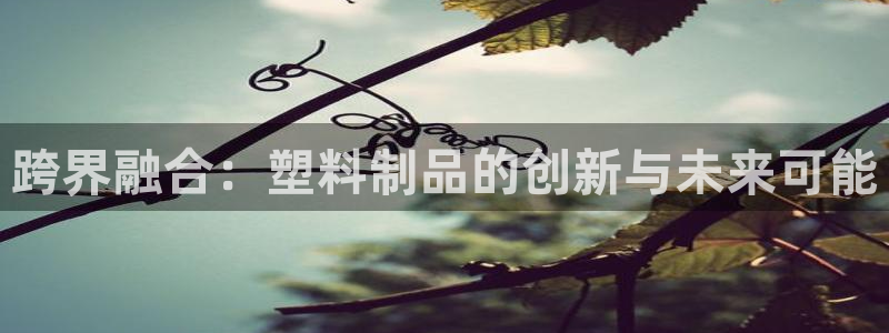 太阳成集团tyc1050：跨界融合：塑料制品的创新与未来可能
