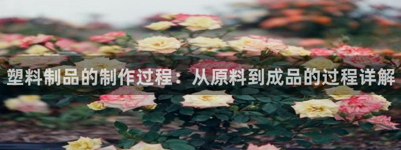 澳门太阳成城集团洗米华：塑料制品的制作过程：从原料到成品的过