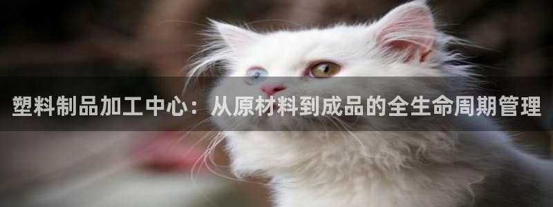 太阳成集团tyc234cc[主页]网址：塑料制品加工中心：从