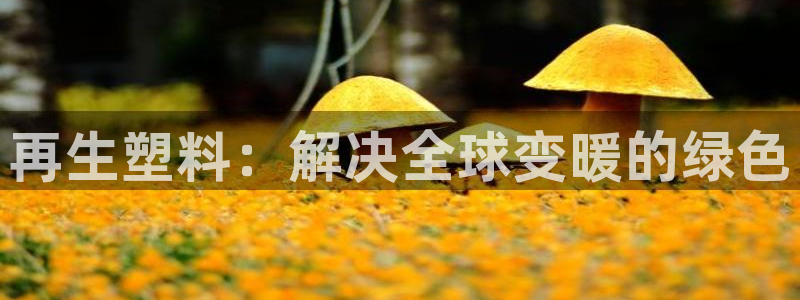 太阳集团是什么集团：再生塑料：解决全球变暖的绿色