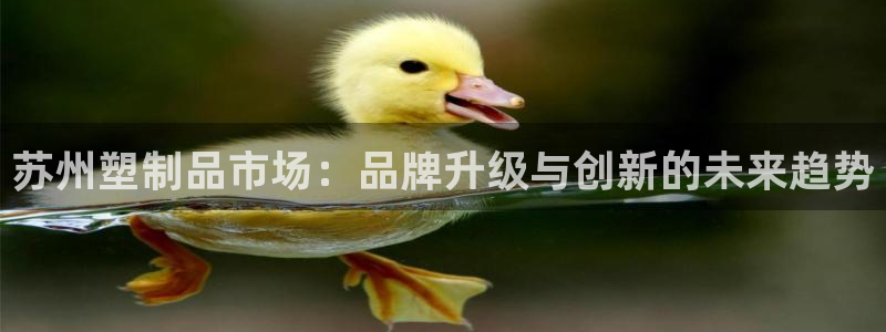 太阳成集团tyc234cc[主页]振：苏州塑制品市场：品牌升