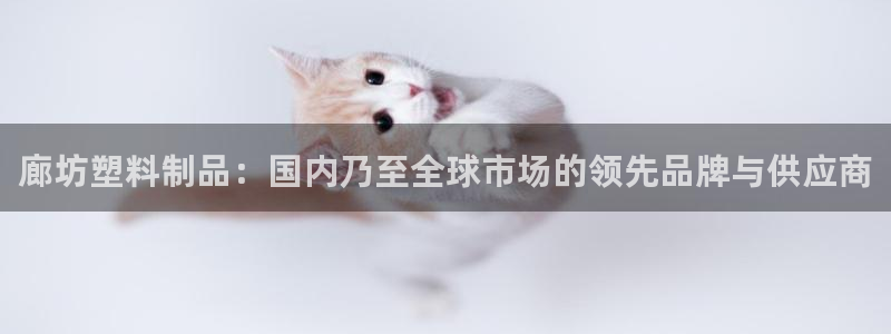 太阳成集团app：廊坊塑料制品：国内乃至全球市场的领先品牌与
