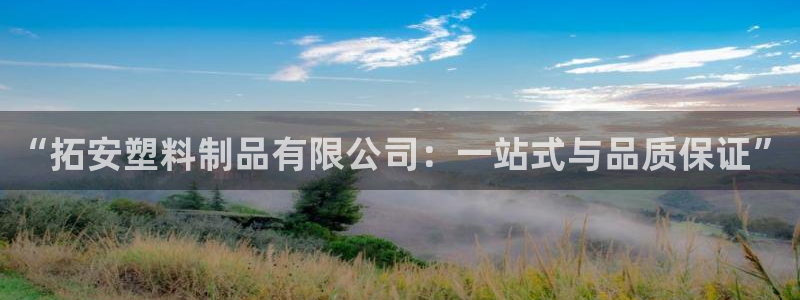 太阳阳城集团有限公司：“拓安塑料制品有限公司：一站式与品质保