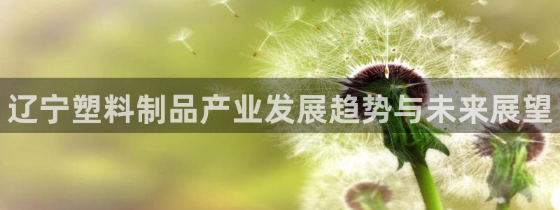 太阳集团电子游戏(中国)有限公司官网：辽宁塑料制品产业发展趋