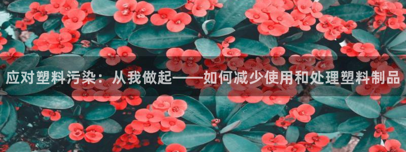 太阳成集团tyc234cc[主页]网址：应对塑料污染：从我做