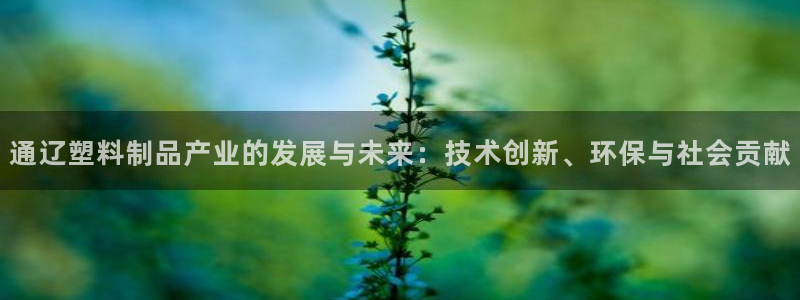 江苏太阳集团冷青松：通辽塑料制品产业的发展与未来：技术创新、