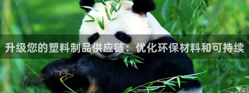 太阳集团电子游戏老板：升级您的塑料制品供应链：优化环保材料和