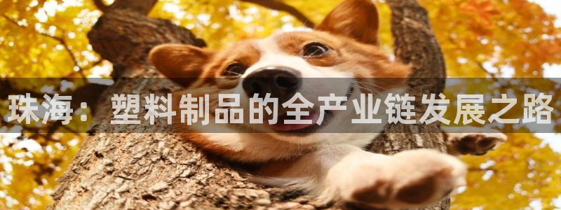 太阳集团入口官网网址：珠海：塑料制品的全产业链发展之路